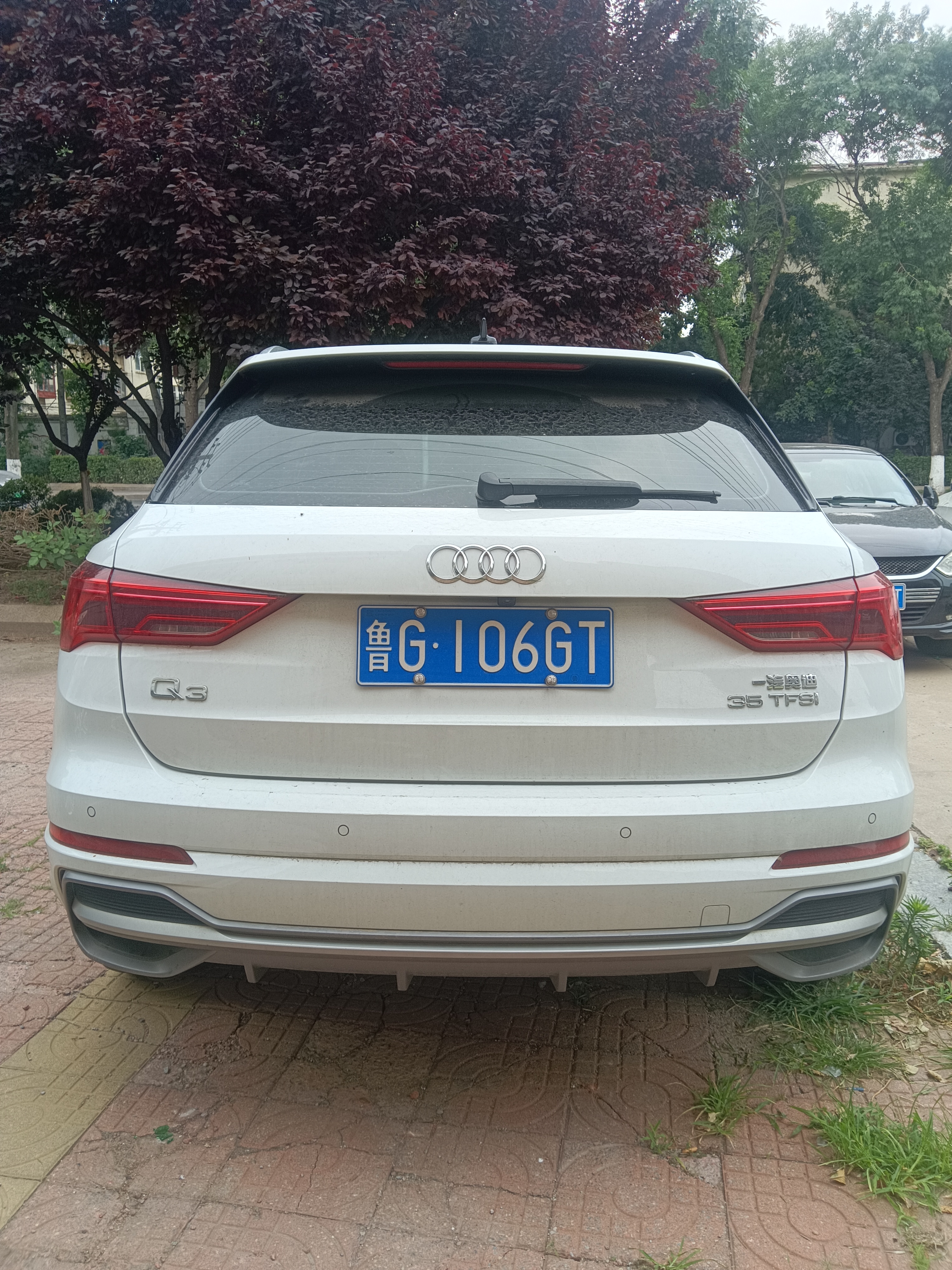 Vehicle Rear