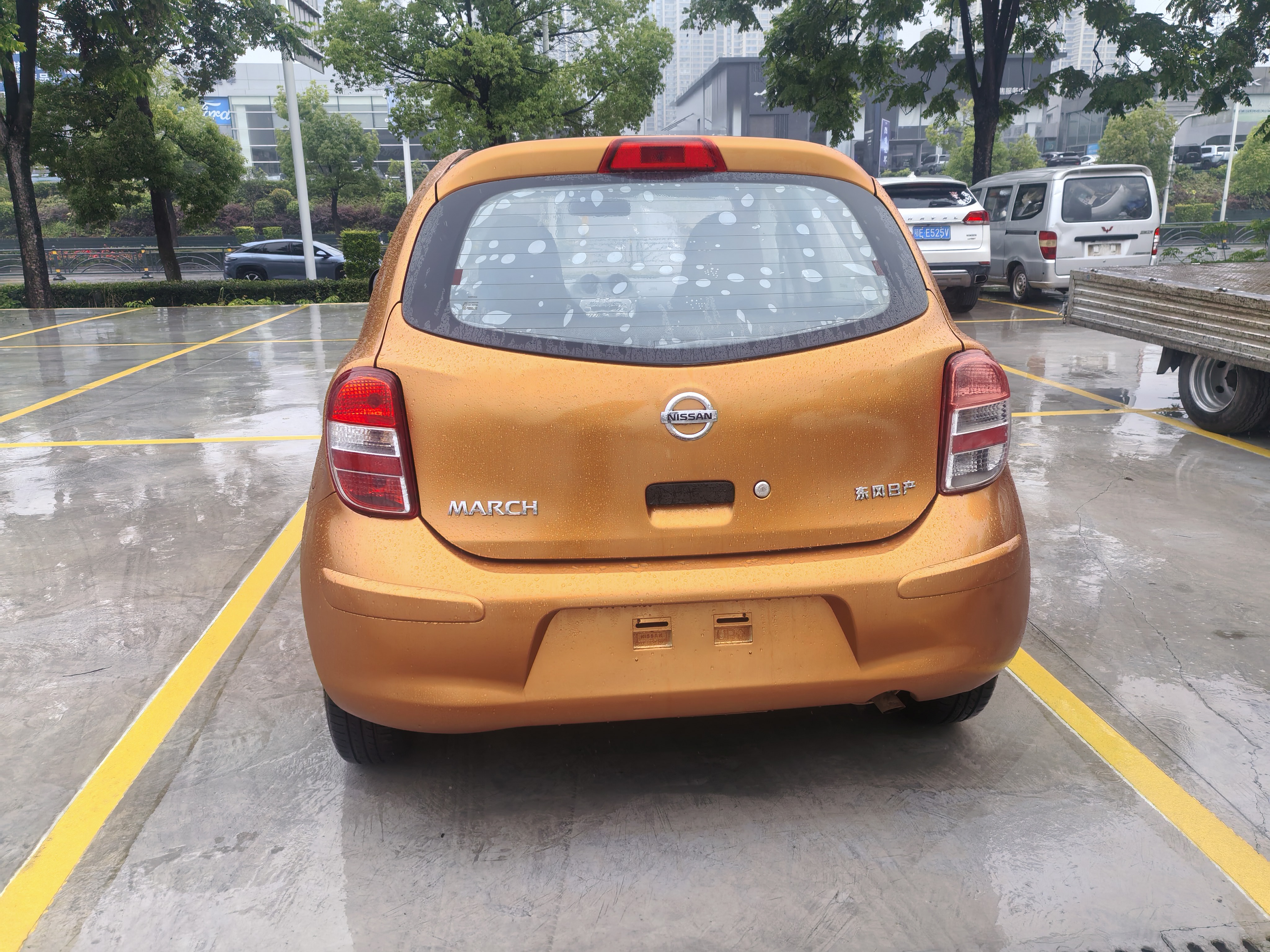 Vehicle Rear