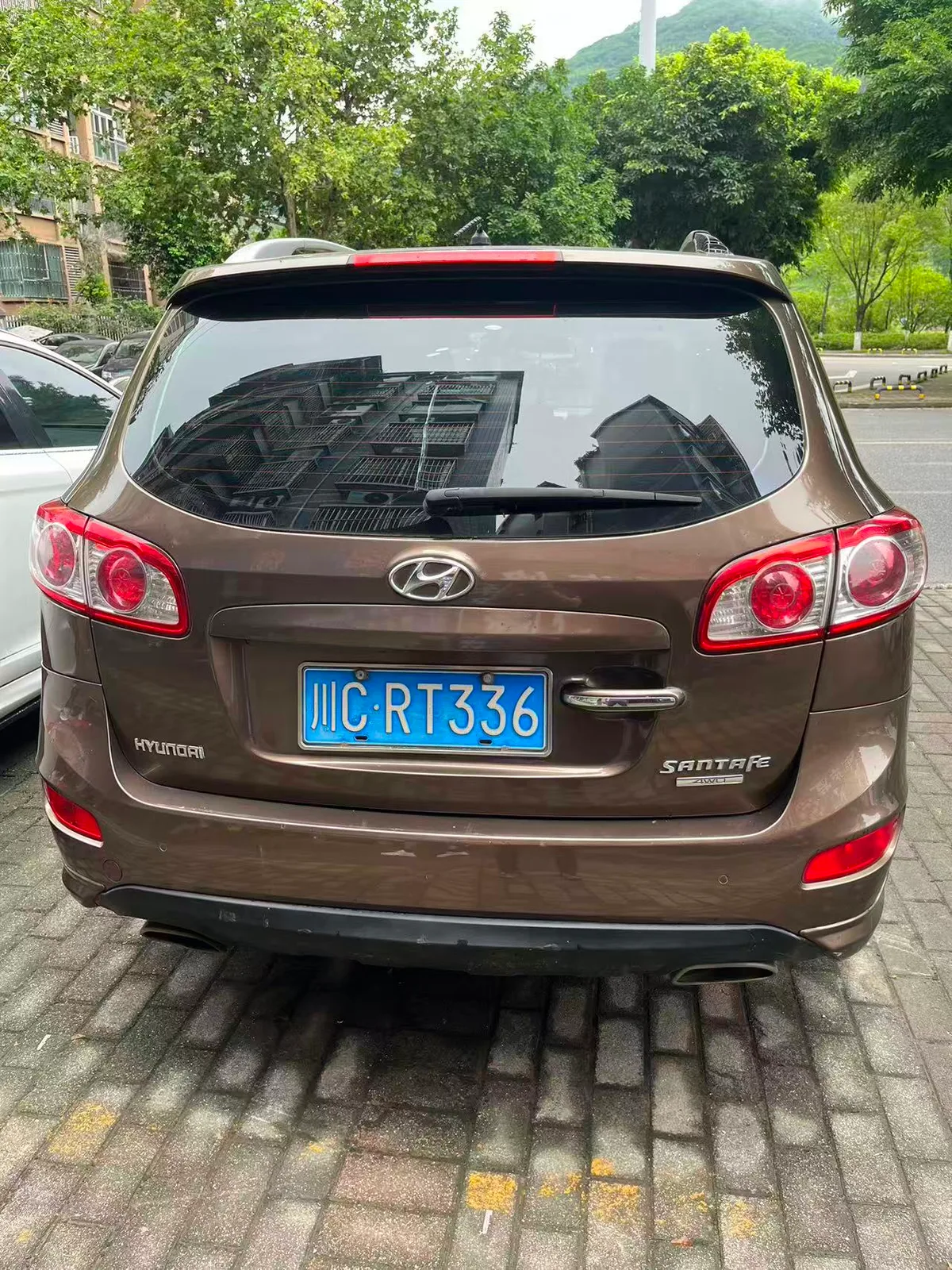 Vehicle Rear