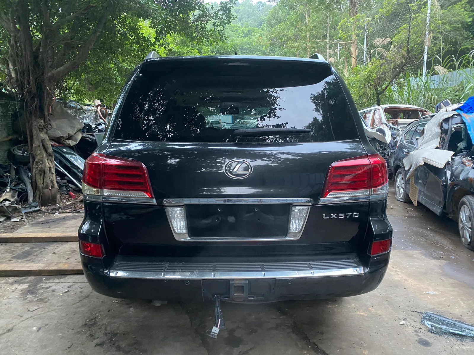Vehicle Rear