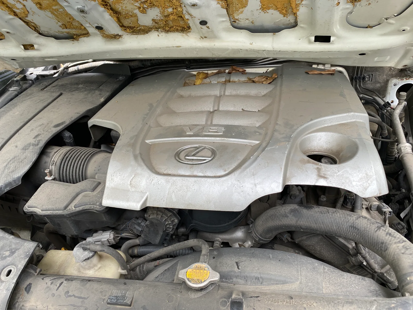 Engine