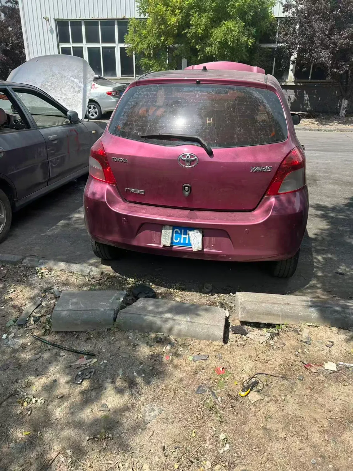 Vehicle Rear