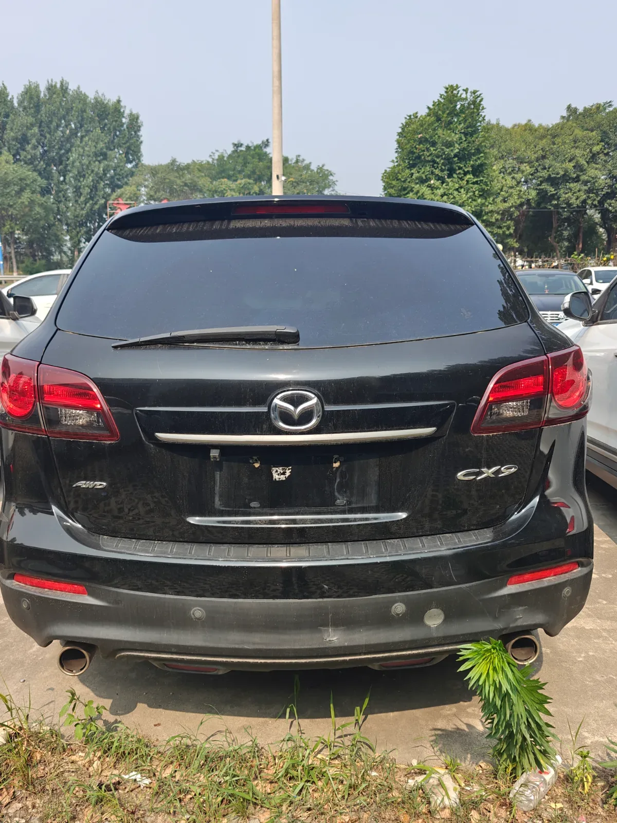 Vehicle Rear