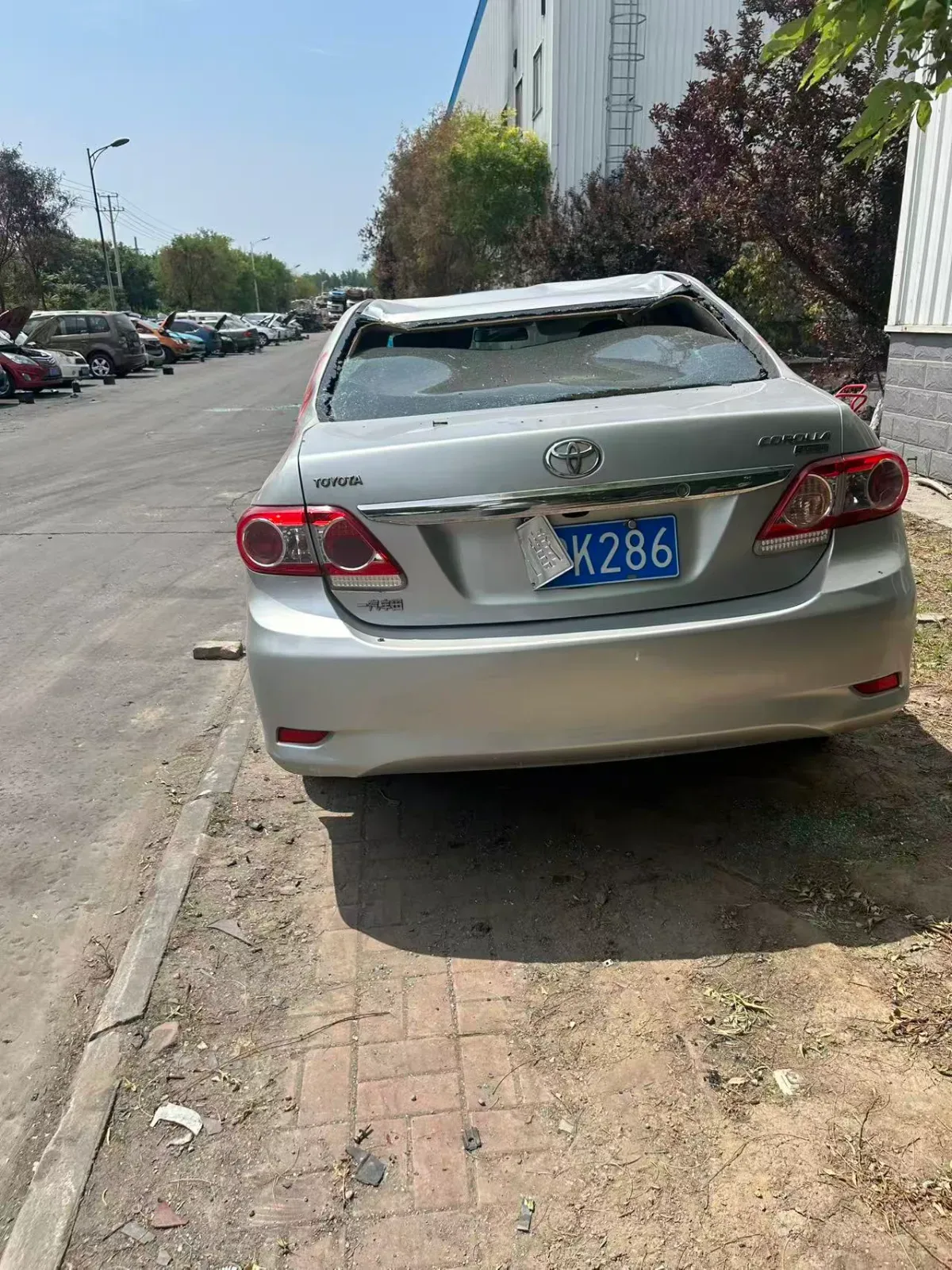 Vehicle Rear
