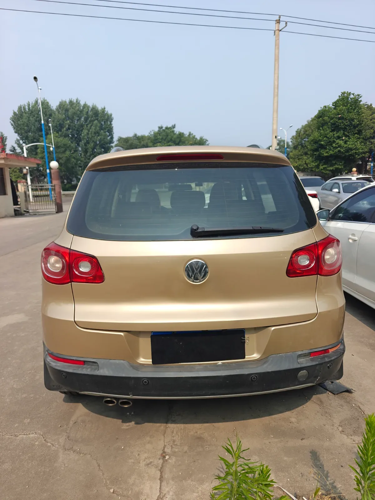Vehicle Rear