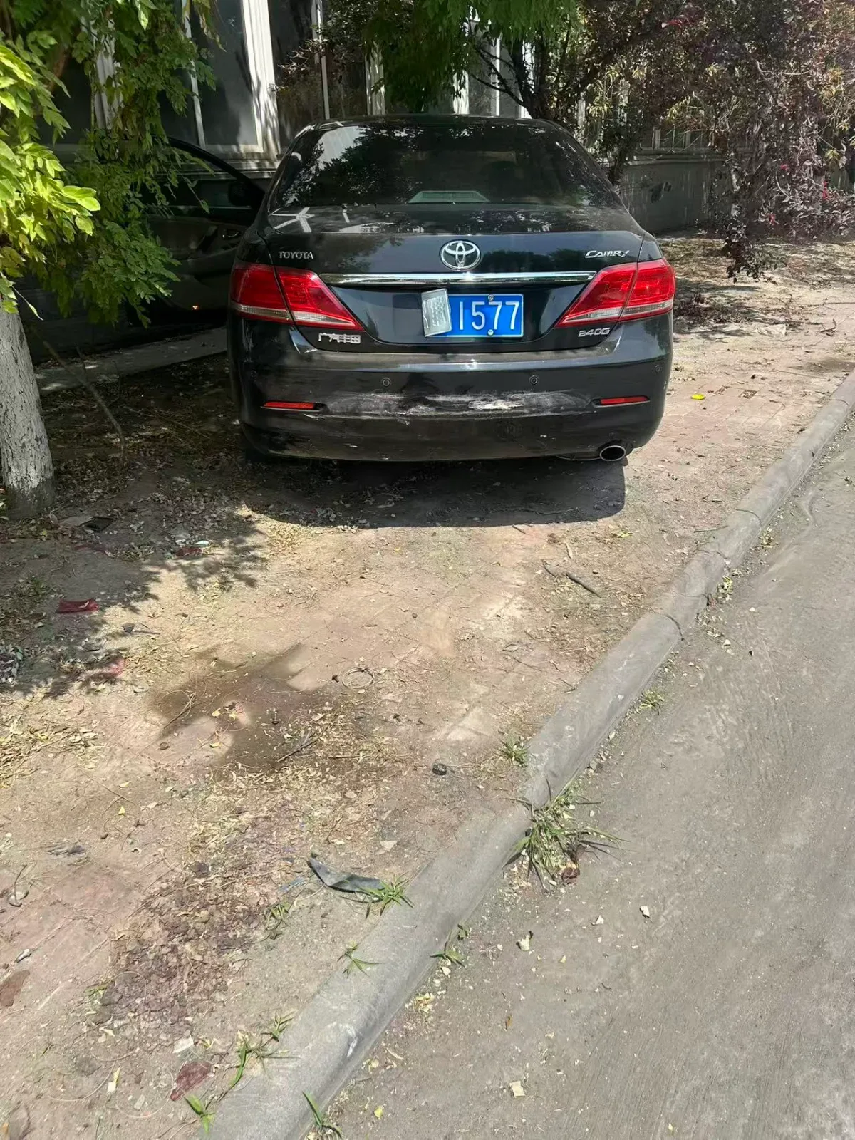 Vehicle Rear