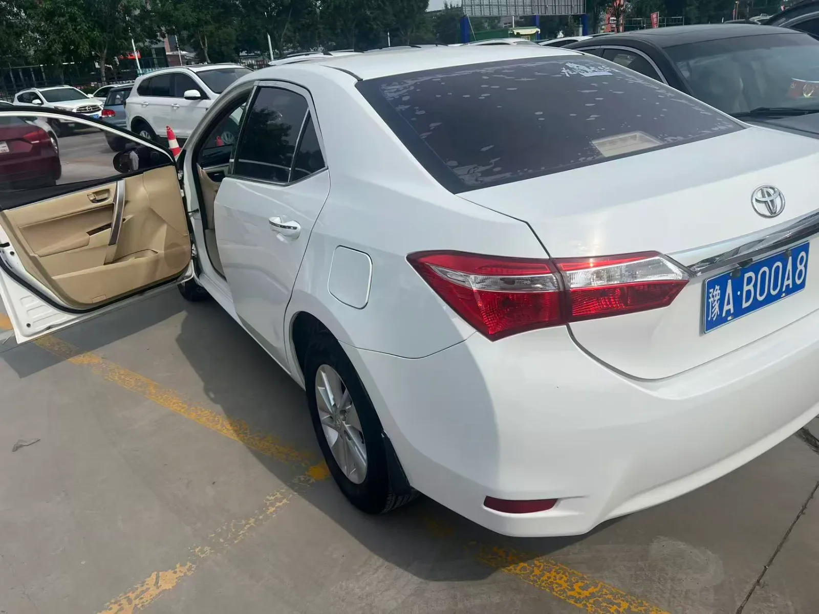 Vehicle Rear