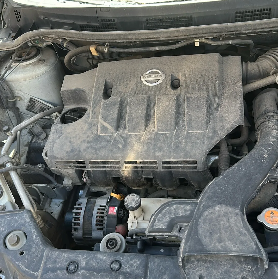 Photo 08