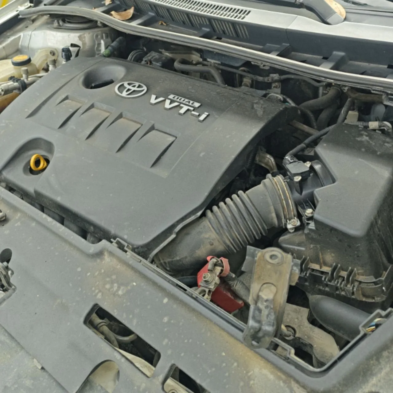 Photo 07