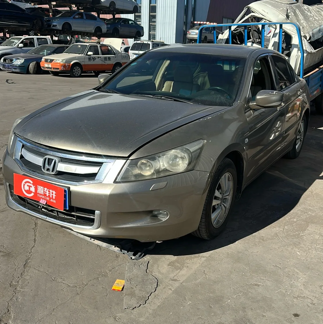 Photo 01