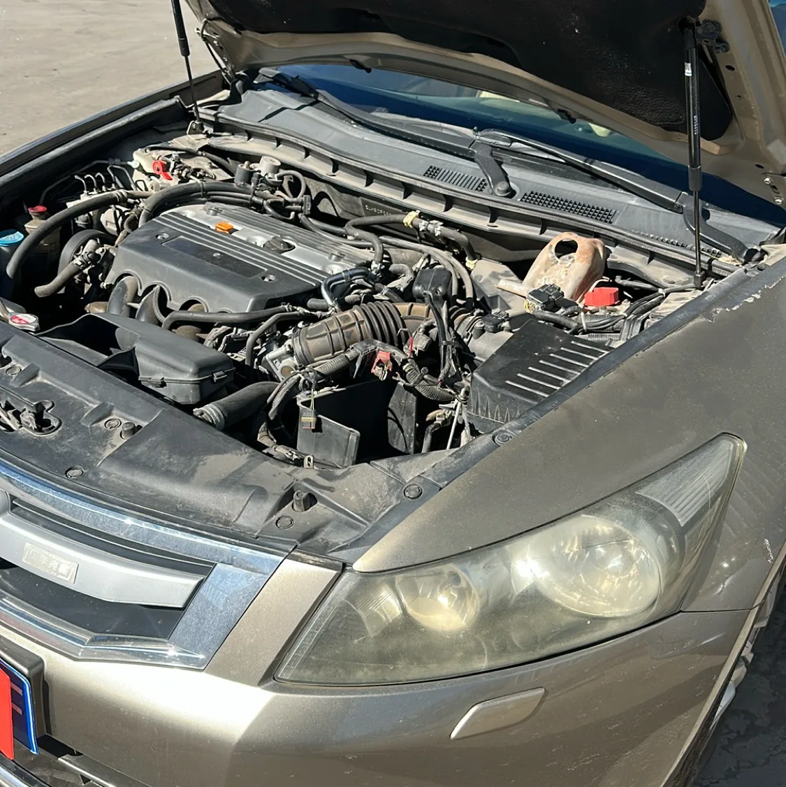 Photo 07