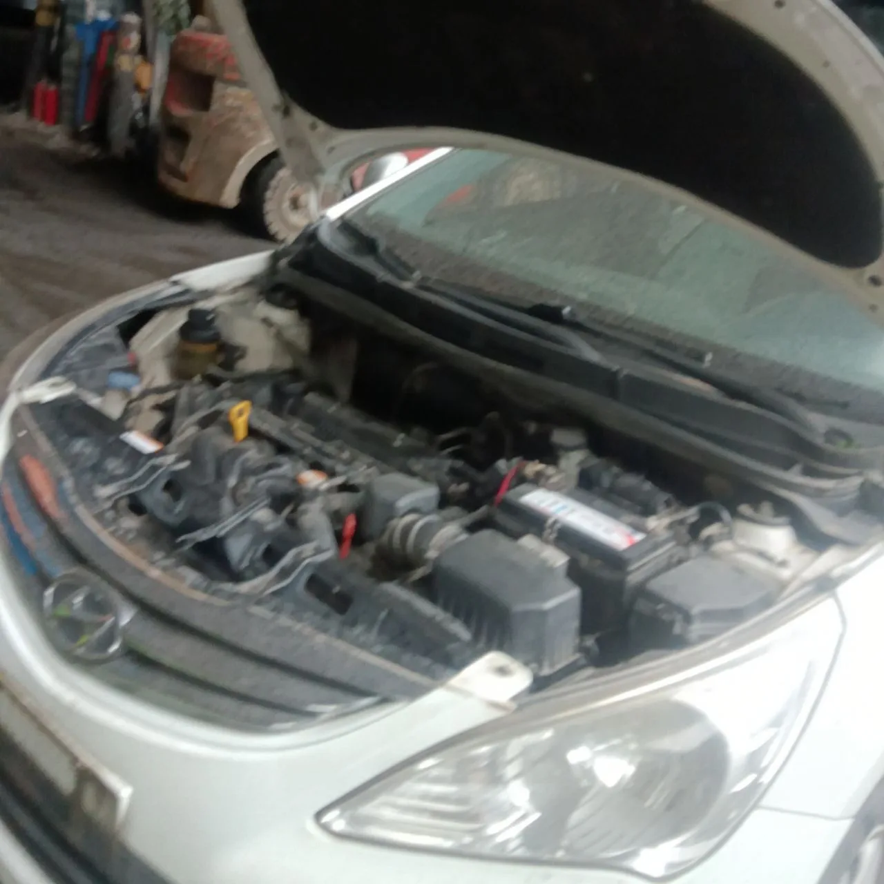 Photo 07