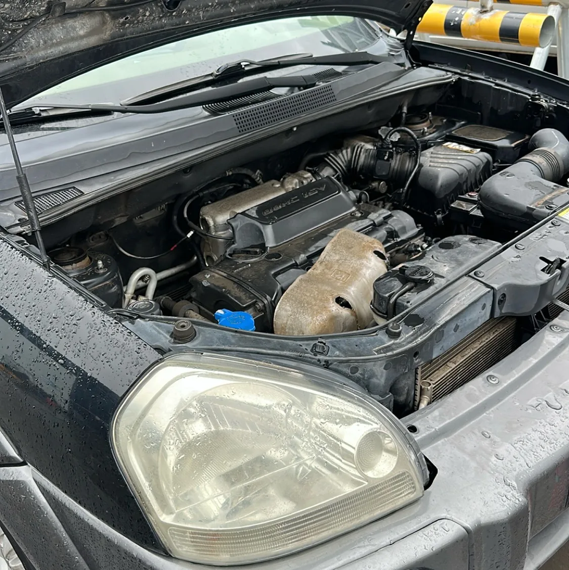 Photo 09