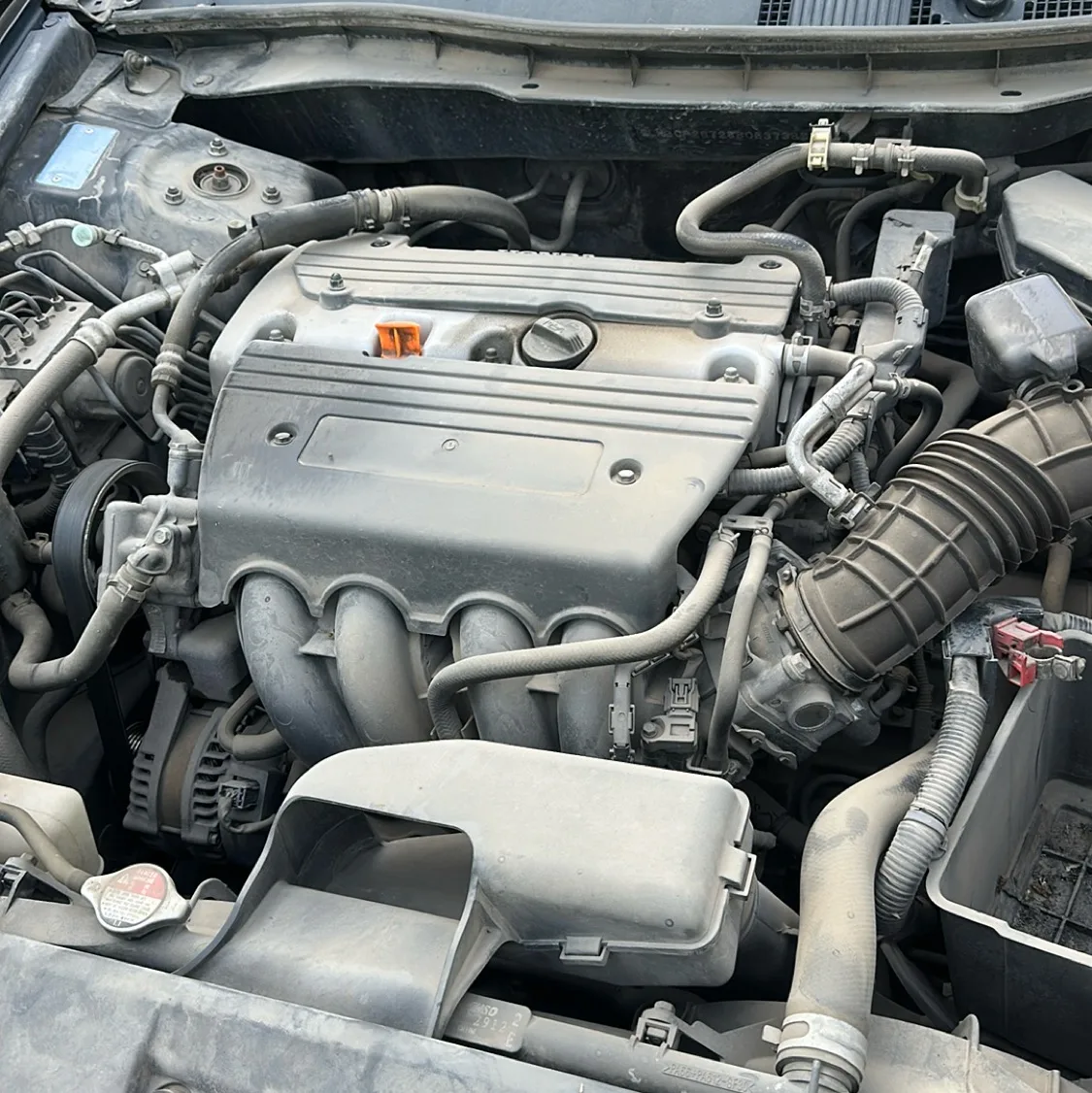 Photo 09
