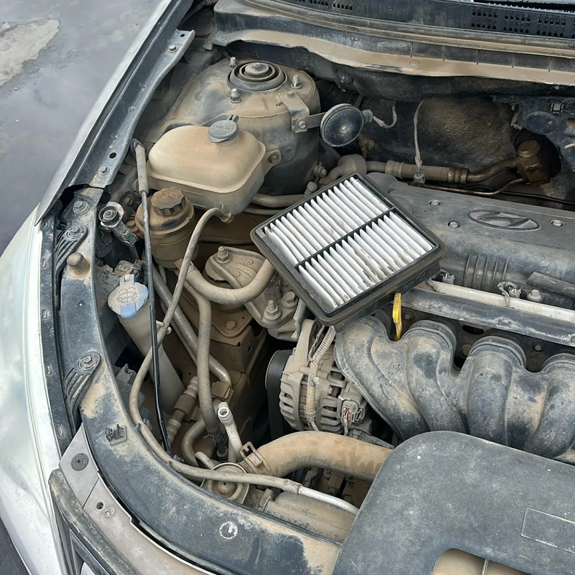 Photo 09