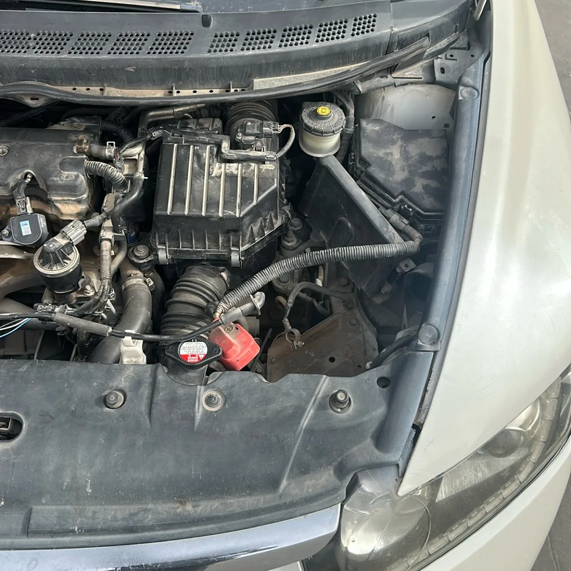 Photo 07