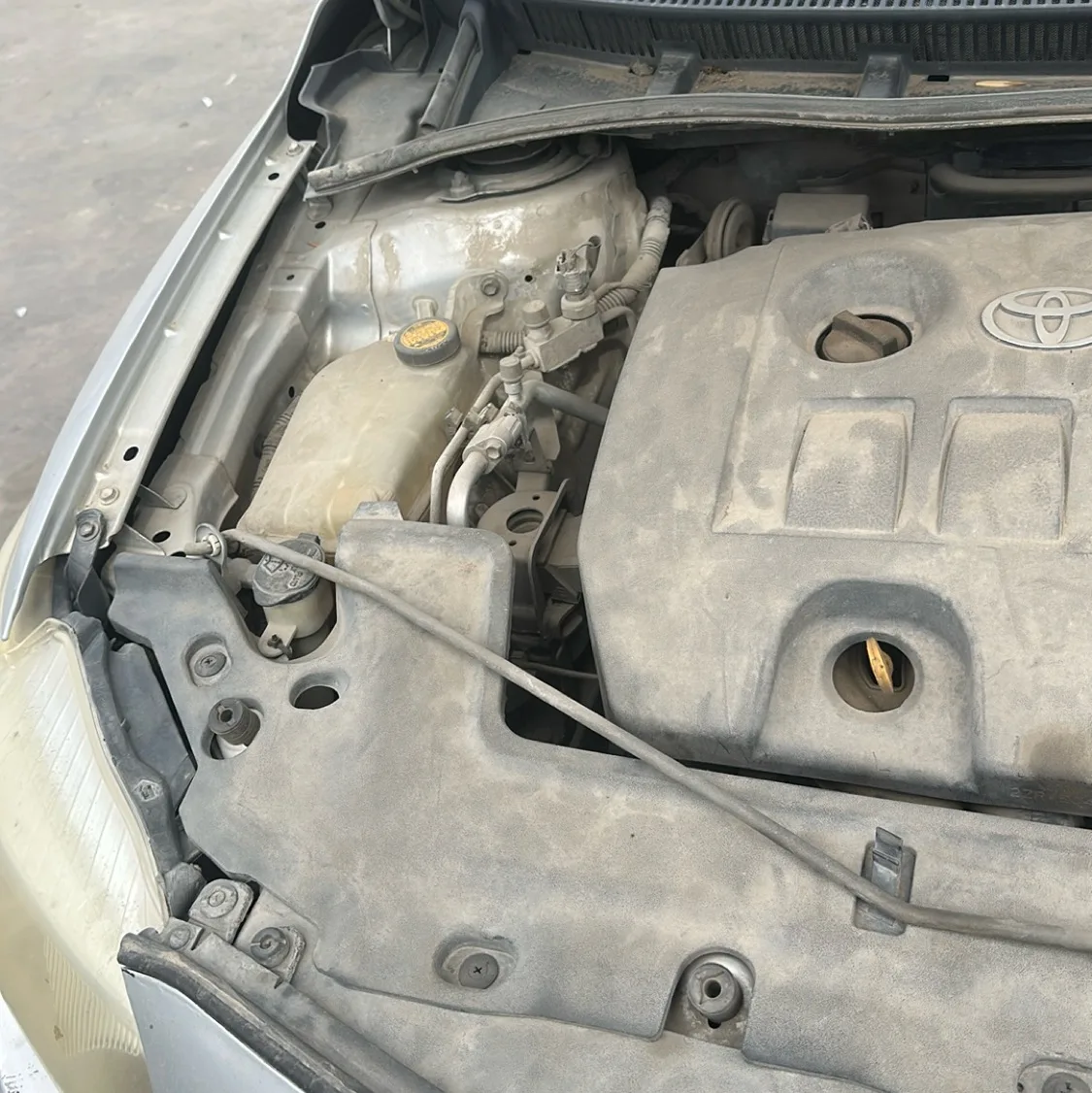 Photo 09