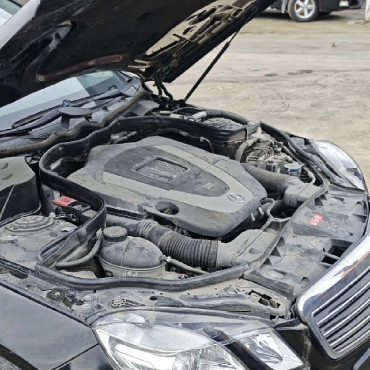 Photo 08