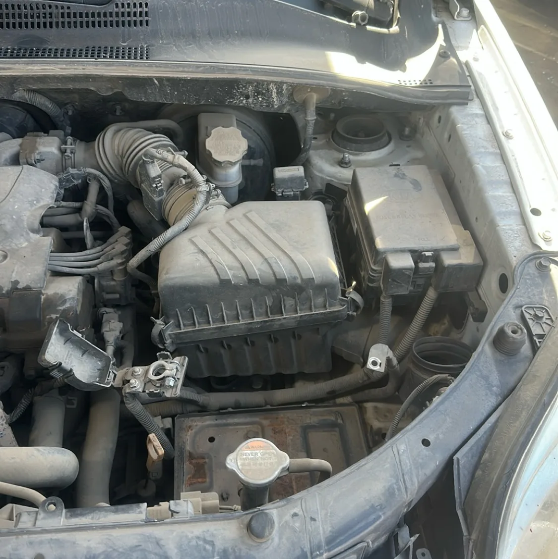 Photo 07
