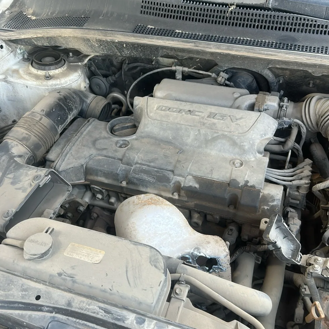 Photo 08