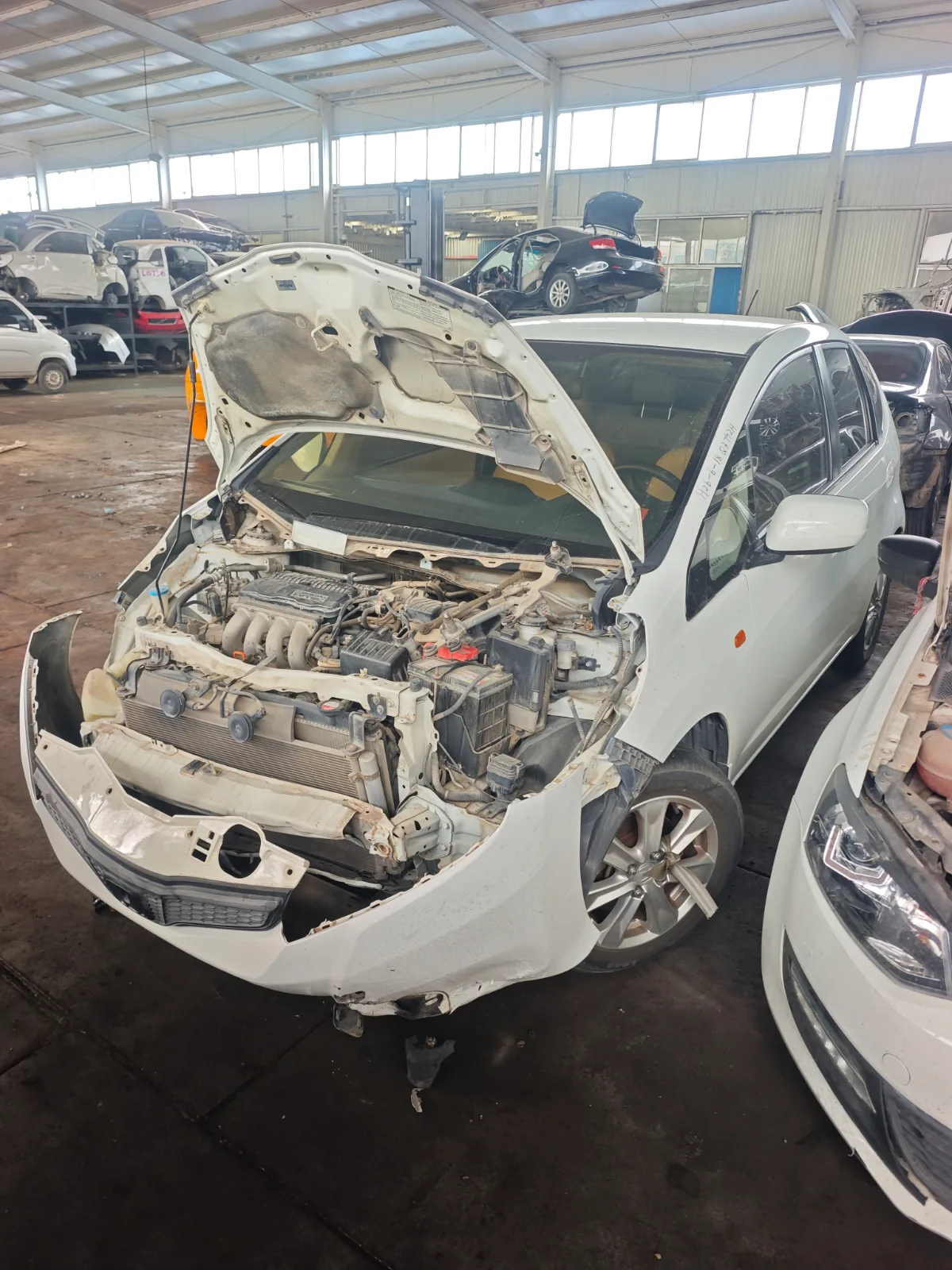 2011 Honda Fit L13Z1 5MT 2WD